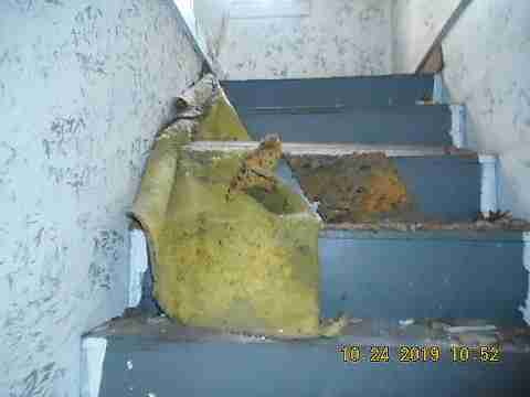 14859 Kentucky (31)_m.jpg